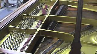 Grieg Piano Concerto, Op. 16. A Minor, 1st Movement