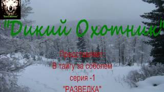 В тайгу за соболем.