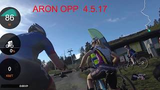 Aron Opp 2017