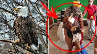 Орел целый месяц "дежурит" у окон БОЛЬНИЦЫ...Все были в "ШОКЕ" когда узнали ПРИЧИНУ...