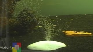 Аквариум Со2  диффузор из камня своими руками
