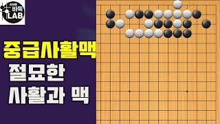 [바둑랩 강좌] 유단자가 되는 길-중급사활맥74-75