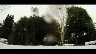 SNOW ** 1 Hour Gentle Relaxing Snowfall **