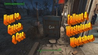 Catching a Cat in Fallout 4's Wasteland Workshop DLC