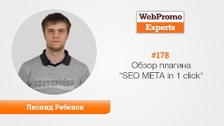 Обзор плагина "SEO META in 1 click". Леонид Ребенок. TV #178