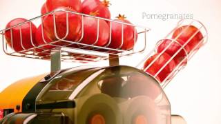 Zumoval Big Basic Juicer