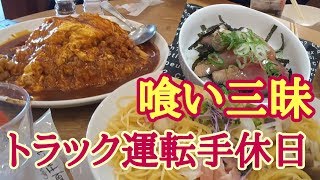 【大型トラック休日】突然のオムライス大食い?絶品ヒラマサの漬け丼?娘と洗車❤️ひげちゃん