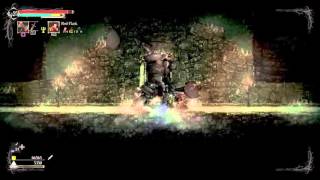 Salt and Sanctuary: where to find grave walkers\sanctuary.