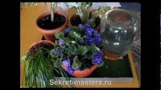 Самодельный автополив комнатных цветов (automatic irrigation)