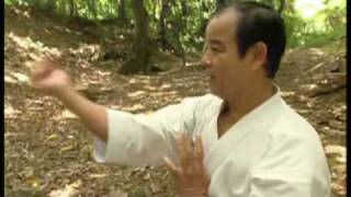 Artes marciales - Karate - Parte 1 de 5
