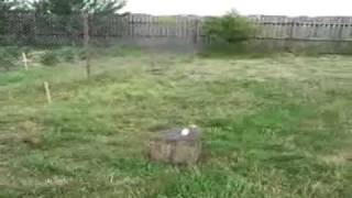 Test granula combustibil racheta