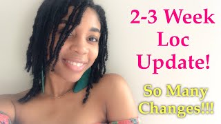 2-3 Week Loc Update! First Wash & Budding! Freeform? Retwisting? | Second Set of Locs