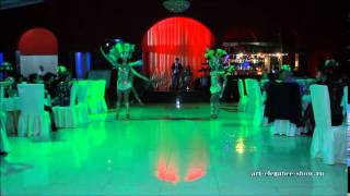 Заказ шоу программы в Ростове, Краснодаре Art Elegance Show www.art-elegance-show.ru
