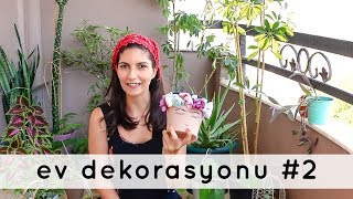 Evimdeki Bitkiler ve Kendin Yap Çiçeklikler | EV DEKORASYONU #2