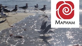 Медитация - Исполнение Желаний