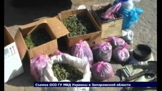 Криминал в Запорожье
