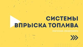 Системы впрыска топлива снегоходов, квадроциклов