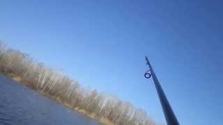 Пассивный окунь на  caroline rig