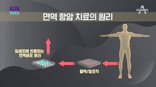 3세대 암 치료법! 면역 항암 치료란? ｜닥터 지바고 205회