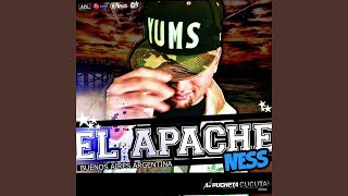 Mueve el Chapón (feat. Pepe El Goloso)