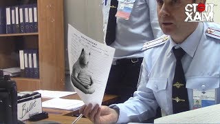 СтопХам - По встречке в полицию ??