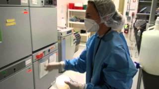 Tuberculosis Research Innovator Award at Colorado State University