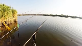 Ловля рыбы на ставке.Рыбалка.Fishing