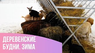 Деревенские будни. Зима.   /переезд в деревню /купили дом в деревне/семейная ферма.