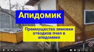 Апидомик динамика зимовки отводков в апидомике, #Матковод_АМГ