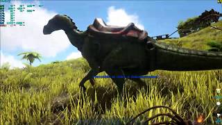 ARK  Survival Evolved GTX 1050 Ti OC - i3 6100 - 24GB Ram High Settings