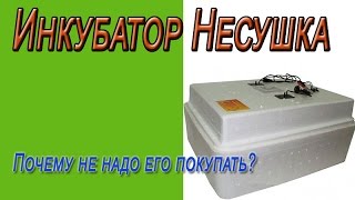 Инкубатор Несушка, отзыв об инкубаторе Несушка.