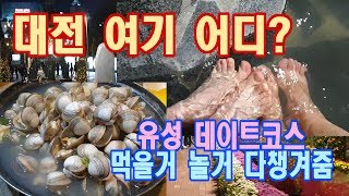 대전 여기! 유성 데이트 코스 : 꽁냥꽁냥 대전여행 핫플 힐링투어