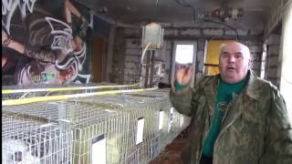 Разговор о разном. Бизнес на кроликах 2016г. чуток обзора хозяйсва и советы от Солнечного Деда:)