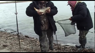 Иртыш.Фидер.Сазан.