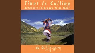 Dinchen Lama