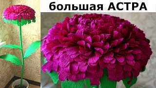 БОЛЬШАЯ АСТРА из гофрированной бумаги. Мастер класс