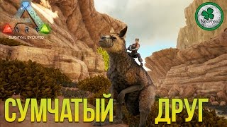 ARK Scorched Earth | Выжженная Земля | ПРИРУЧЕНИЕ КРОКОДИЛОВ И КЕНГУРУ #5