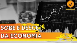 ? PQ A ECONOMIA SOBE E DESCE? [ECONOLAB - PAPERS] ?