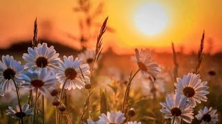 Meditación Guiada Raja Yoga: "Atención sin tensión" - Brahma Kumaris - María Moreno