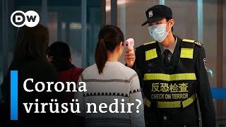 Çin'de ortaya çıkan yeni Corona virüsü nedir? - DW Türkçe