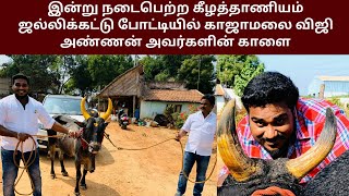 இன்று நடைபெற்ற கீழதானியம் ஜல்லிக்கட்டு ஆட்டத்தை கலக்கிய திருச்சி காளை