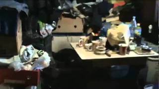 Частный приют, г. Донецк, ул. Часов- Ярская