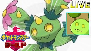 【ポケモン剣盾】新年初マラカッチランクバトル【Vtuber】