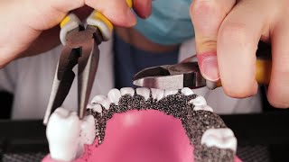 ASMR? Dentist Pulls Your Bad Teeth!