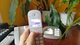 Philips DECT phone Phone Book missing in GAP mode
