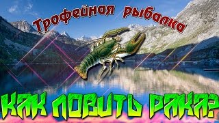 Трофейная рыбалка-Как ловить рака?