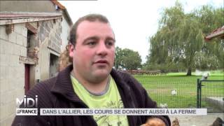 ANIMAUX : Dans l'Allier, les cours se donnent aussi à la ferme