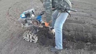 Посадка картофеля мотоблоком 2016