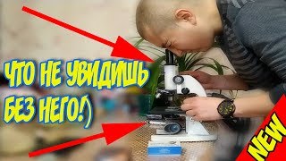 Думал коловратка, а оказалось ...! Живой корм для аквариумных рыбок!