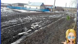 Найди кота в одноклассниках ответы на 971, 972, 973, 974, 975 уровень 49 эпизод